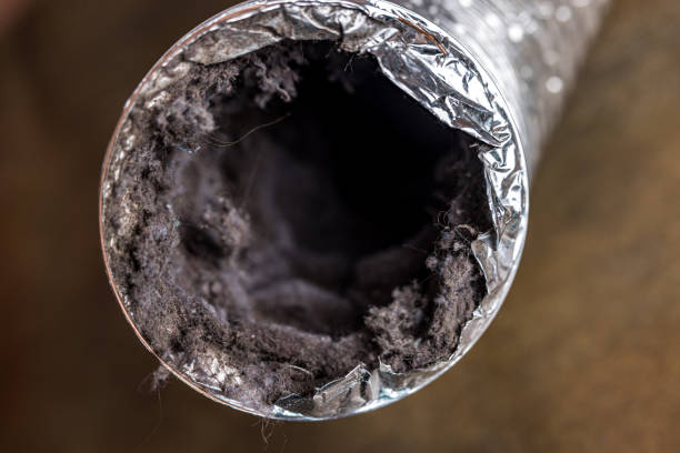 Best Affordable Duct Cleaning Services  in Roslyn, PA