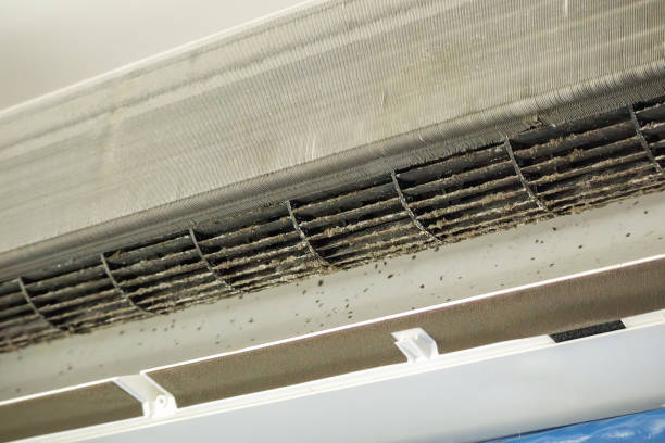 Best Affordable Air Duct Cleaning  in Roslyn, PA