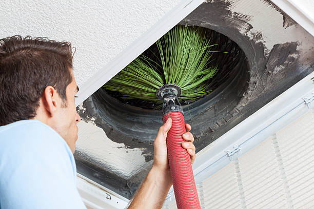 Best Air Duct Cleaning Company Near Me  in Roslyn, PA